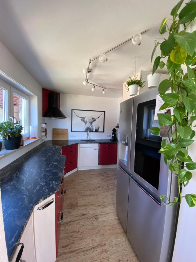 Ferienhaus Alpenblick Auf'M Vorderberg Villa Leutkirch im Allgäu Kültér fotó